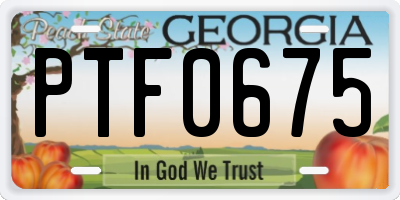 GA license plate PTF0675