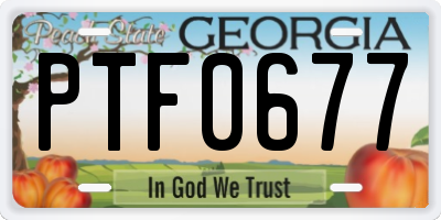 GA license plate PTF0677