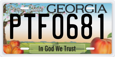 GA license plate PTF0681
