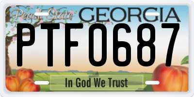 GA license plate PTF0687