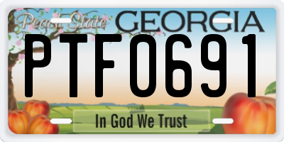 GA license plate PTF0691