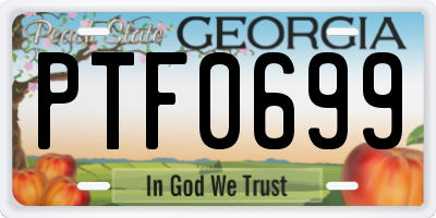 GA license plate PTF0699