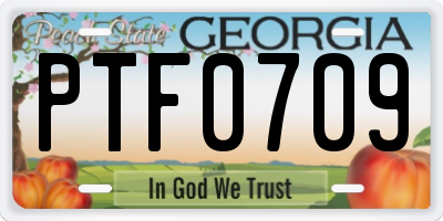 GA license plate PTF0709