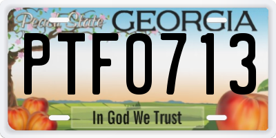 GA license plate PTF0713