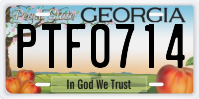 GA license plate PTF0714