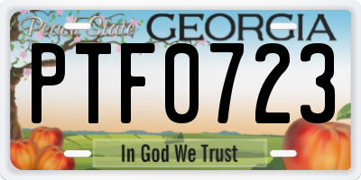 GA license plate PTF0723