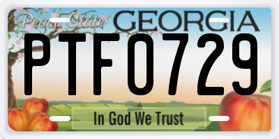 GA license plate PTF0729