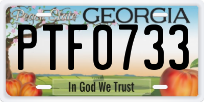 GA license plate PTF0733
