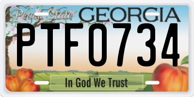 GA license plate PTF0734
