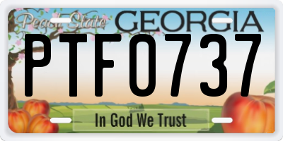 GA license plate PTF0737