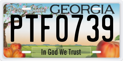 GA license plate PTF0739