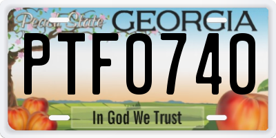 GA license plate PTF0740