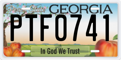 GA license plate PTF0741