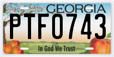 GA license plate PTF0743