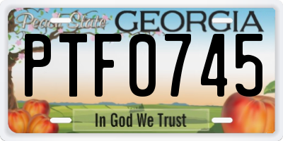 GA license plate PTF0745