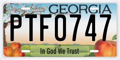 GA license plate PTF0747