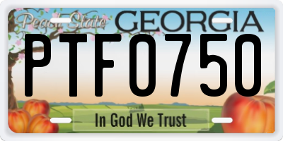 GA license plate PTF0750