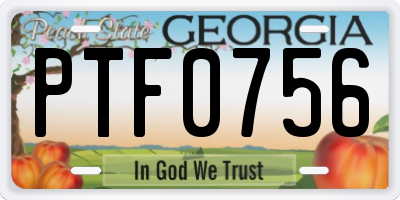 GA license plate PTF0756