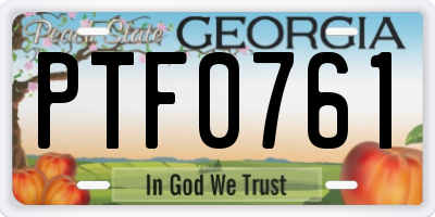 GA license plate PTF0761