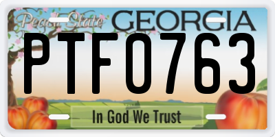 GA license plate PTF0763