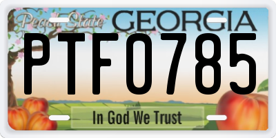 GA license plate PTF0785