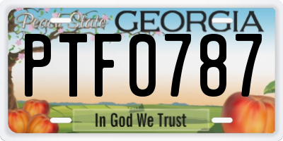 GA license plate PTF0787