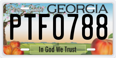 GA license plate PTF0788