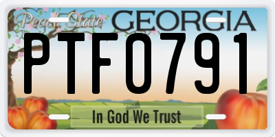 GA license plate PTF0791
