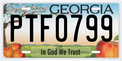 GA license plate PTF0799