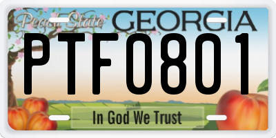 GA license plate PTF0801