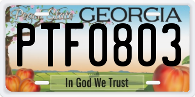 GA license plate PTF0803