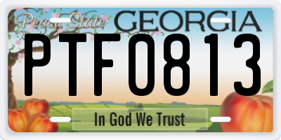 GA license plate PTF0813