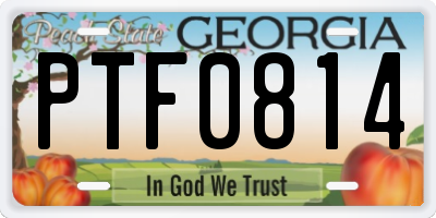 GA license plate PTF0814