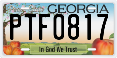 GA license plate PTF0817