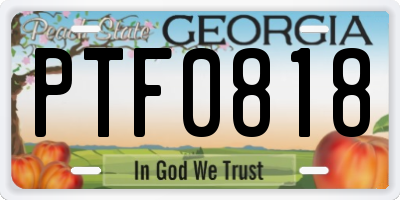 GA license plate PTF0818
