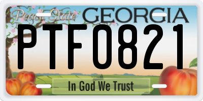 GA license plate PTF0821