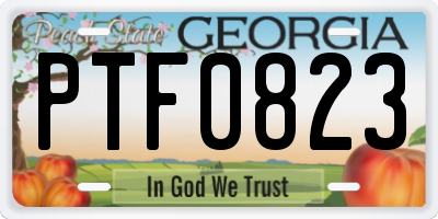 GA license plate PTF0823