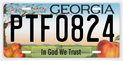 GA license plate PTF0824