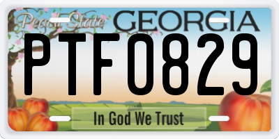 GA license plate PTF0829