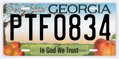 GA license plate PTF0834