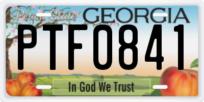 GA license plate PTF0841