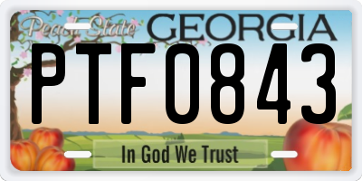 GA license plate PTF0843