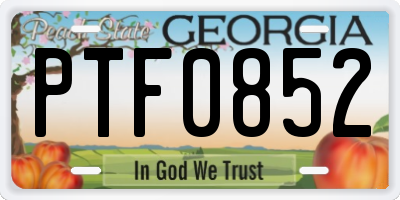 GA license plate PTF0852