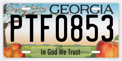 GA license plate PTF0853