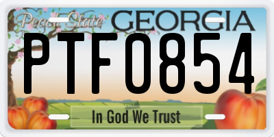 GA license plate PTF0854