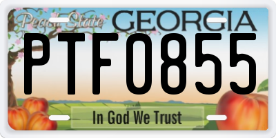 GA license plate PTF0855