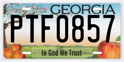 GA license plate PTF0857