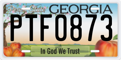 GA license plate PTF0873