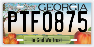 GA license plate PTF0875