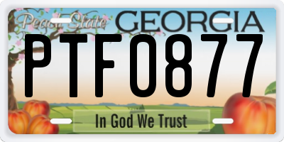 GA license plate PTF0877